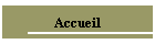 Accueil