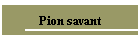 Pion savant
