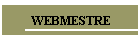 WEBMESTRE